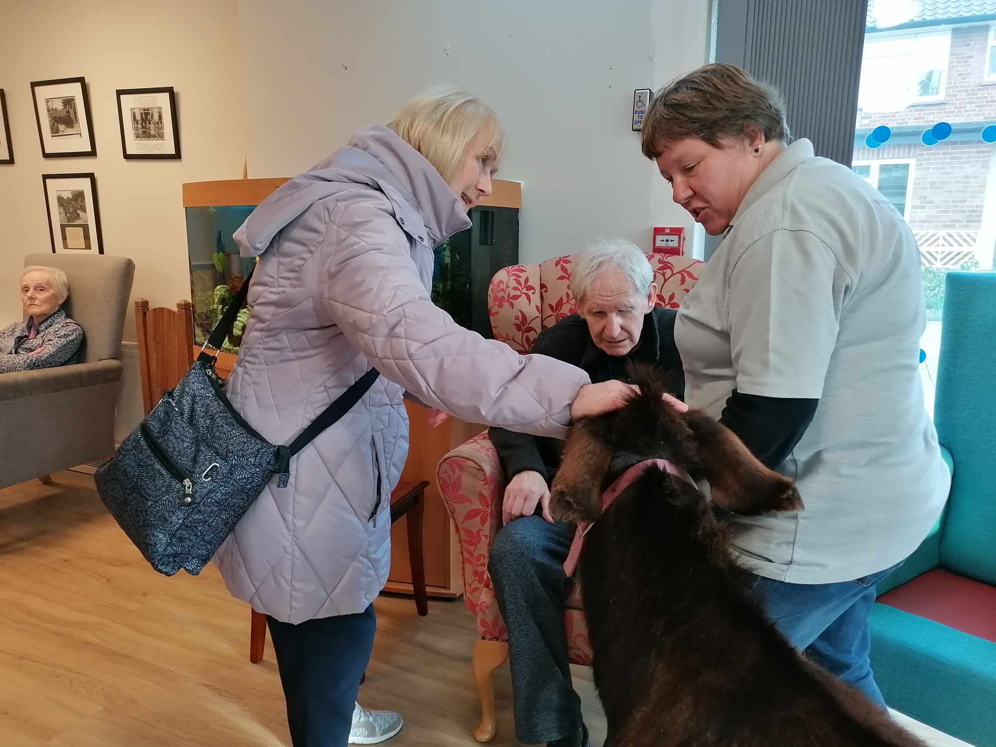 A care home resident and his visiting relative enjoy time with a donkey.