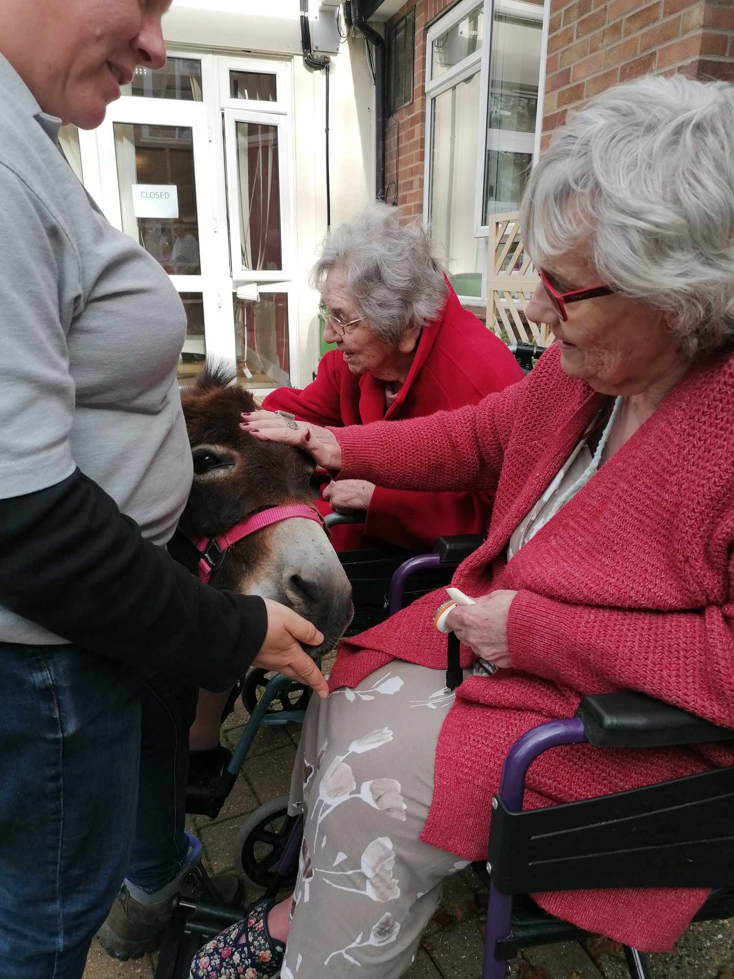 Two residents in red jackets stroke a miniature donkey in a pink harness