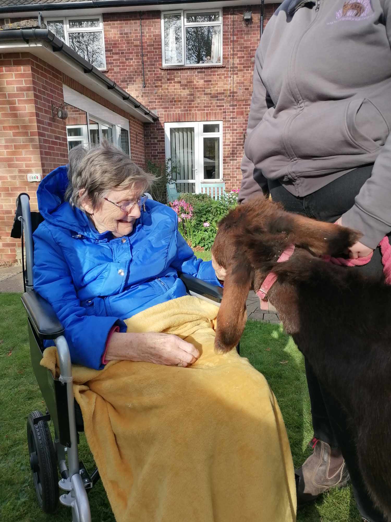 A smiling resident meets a donkey in the garden, she is covered with a blanket.