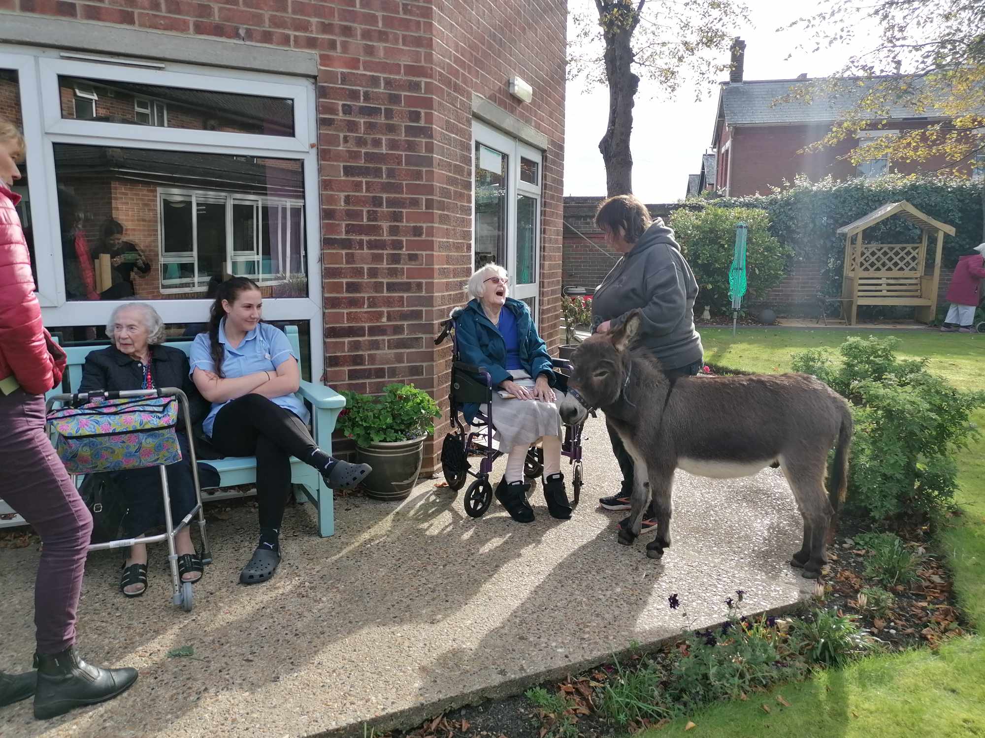 Residents and carers in the garden meet a mini donkey wearing a harness