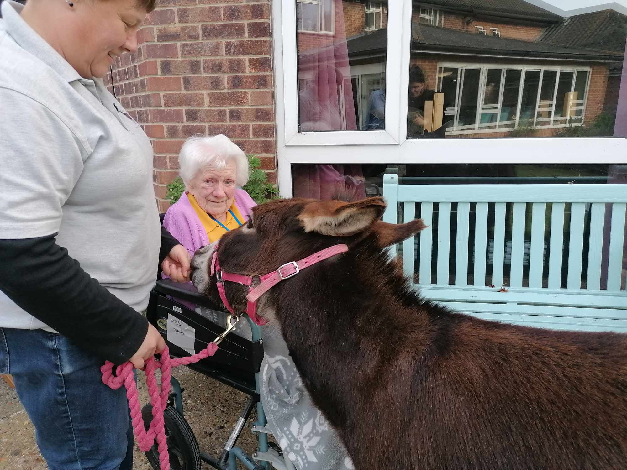 A seated resident smiles at a visiting donkey