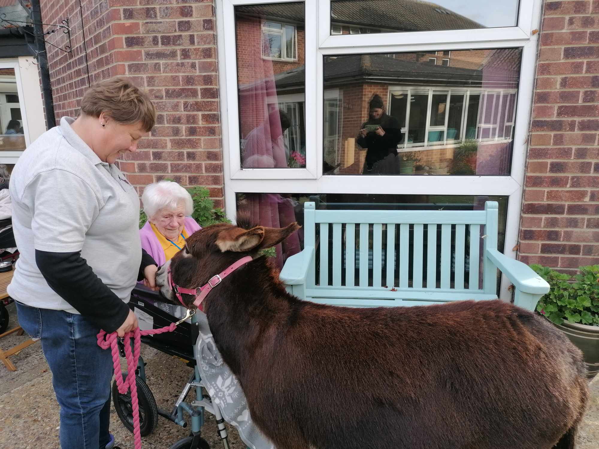 A resident and handler smile at a miniature donkey.