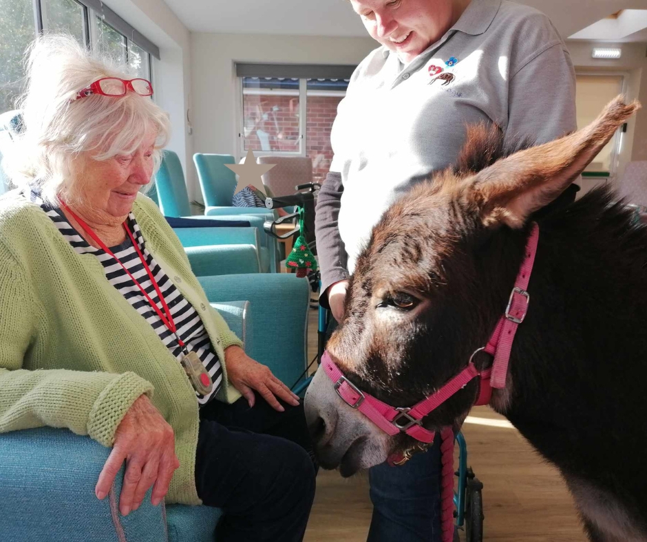 In a sunlit lounge a resident in a green top smiles at a mini donkey.