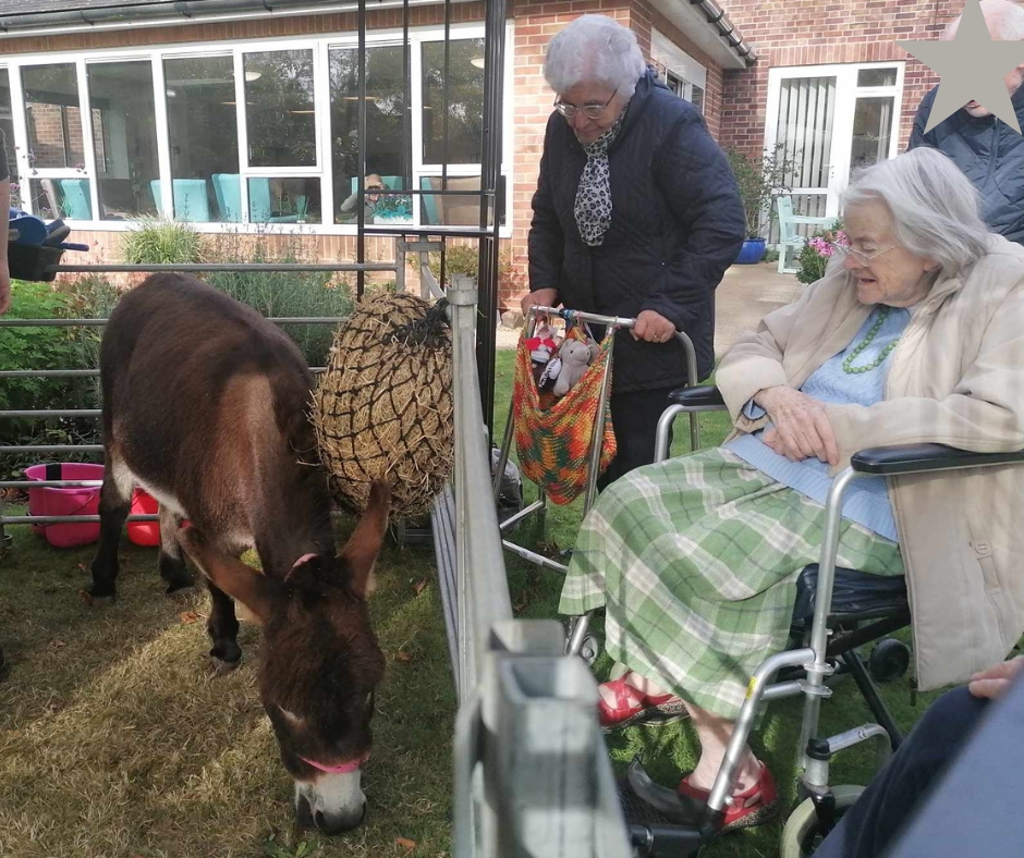 A standing resident watches a donkey in a pen while a seated resident smiles.