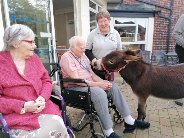 Resident Roy pets a miniature donkey while the handler smiles