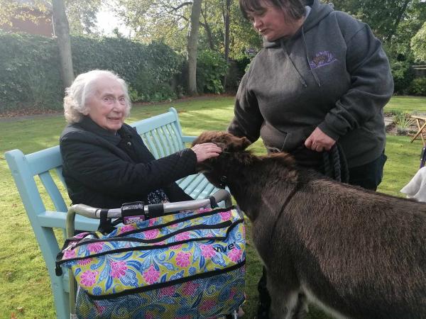 A smiling resident sits on a bench on the lawn in the garden petting a donkey.