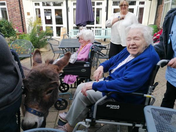 Residents and relatives smile at a visiting donkey on the patio of Corton House