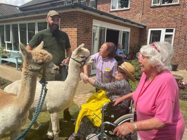 Two residents meet two alpacas accompanied by the chaplain of Corton House