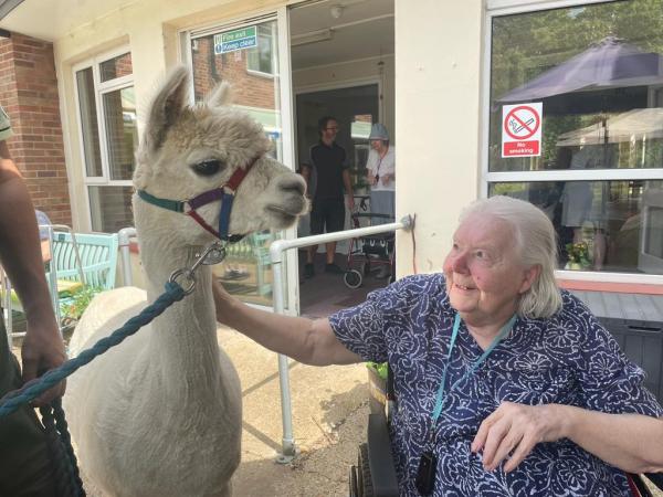 Helen a Corton House resident smiles while petting a cream alpaca on the neck