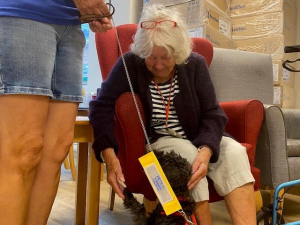 A seated residents smiles at a therapy dog on a lead.