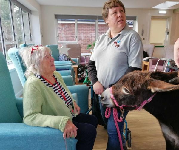 A resident discusses donkey care with the handlers in a sunny care home lounge.