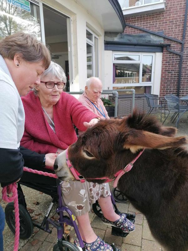 A resident smiles as she pets a miniature donkey