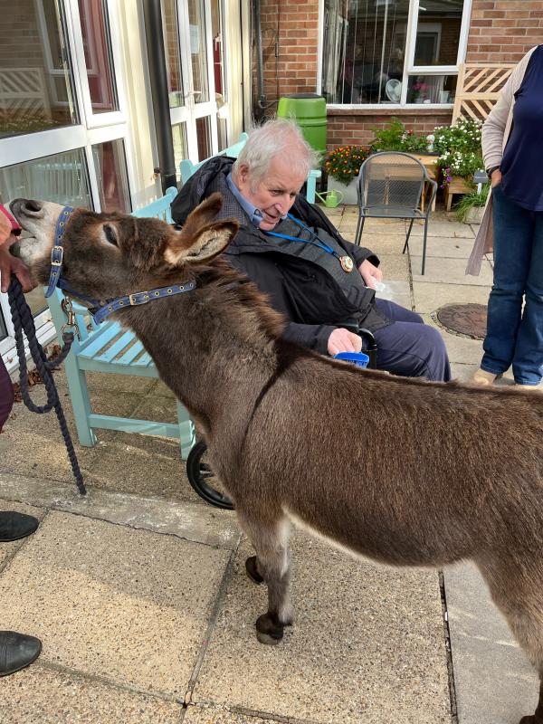 Resident Geoff meets Jack the mini donkey. Jack is a dark brown grey colour.