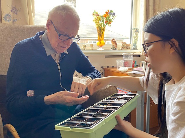 A resident planting sunflower seeds in a sunny room with a volunteer.