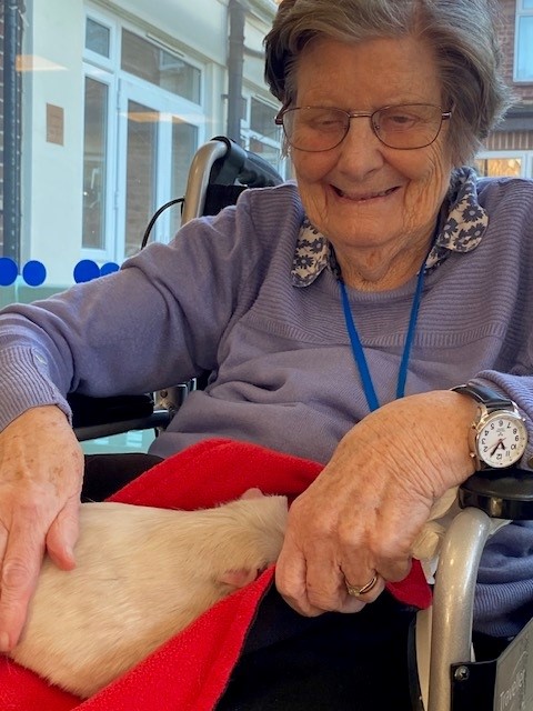 a smiling resident strokes a guinea pig in the lounge of a norfolk care home