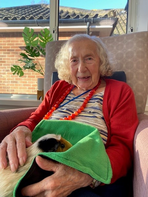 a resident cuddles a guinea pig on her lap in a norwich care home