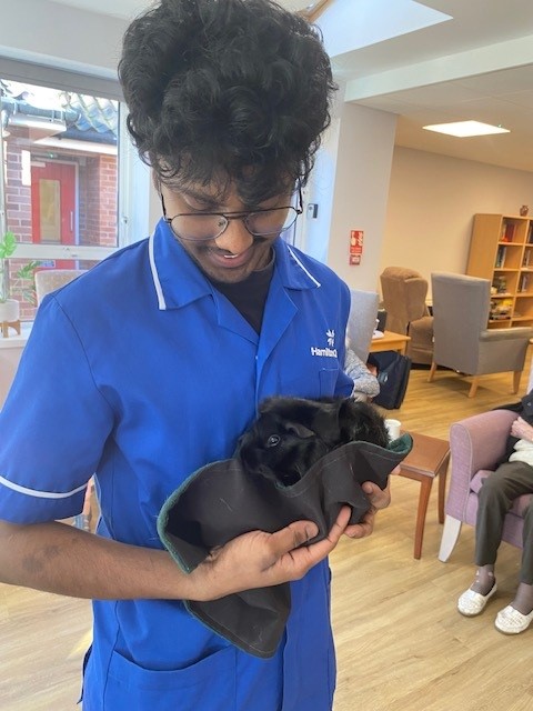 staff member cuddling a guinea pig in the lounge of corton house care home