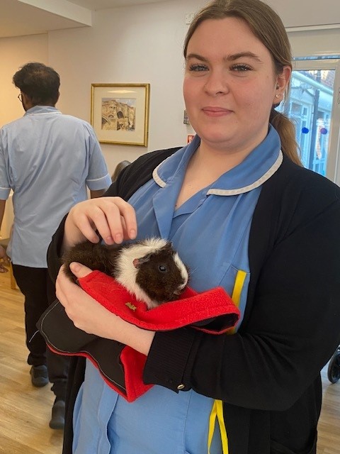 a care team member cuddles a visiting therapy guinea pig