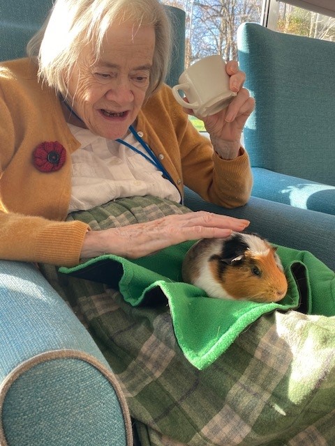 a resident is delightedly stroking a guinea pig in norwich care home corton hous