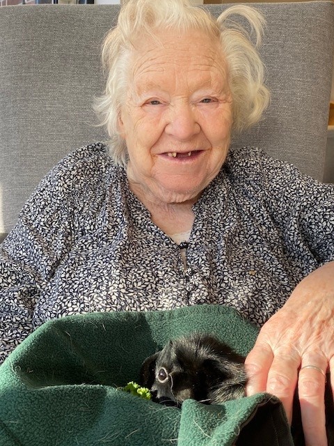 a resident smiles holding a visiting guinea pig at corton house care home