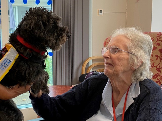 A therapy dog is gently held aloft in front of a smiling resident.