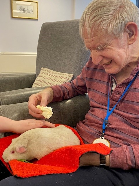 a resident in norfolk care home corton house smiles at a guinea pig on his lap