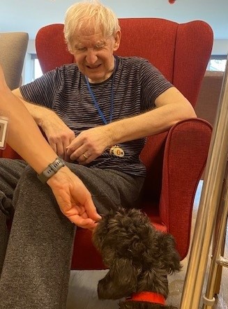 A resident smiles as a therapy dog is given a treat in front of him.