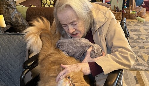 490918228 981229644191110 2409361627747180453 n