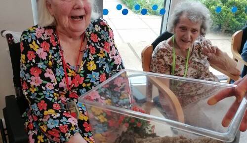 Helen Sheila Corton House residents meeting Trinny the Tarantula